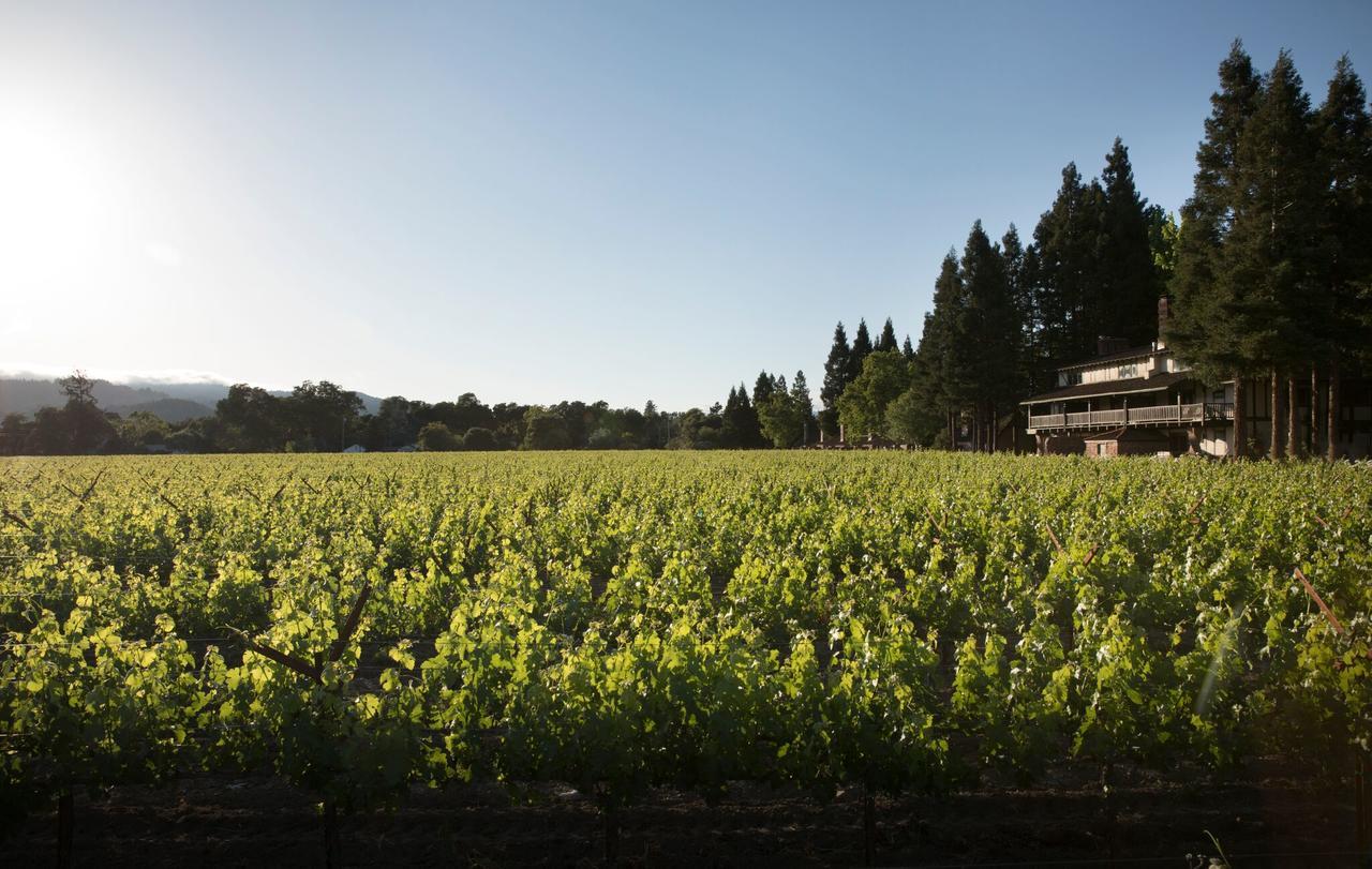 Harvest Inn St. Helena Exterior foto